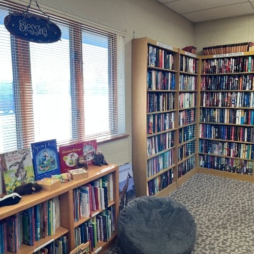Library book shelves